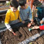 WhatsApp Image 2020-03-18 at 21.52.24 (1)