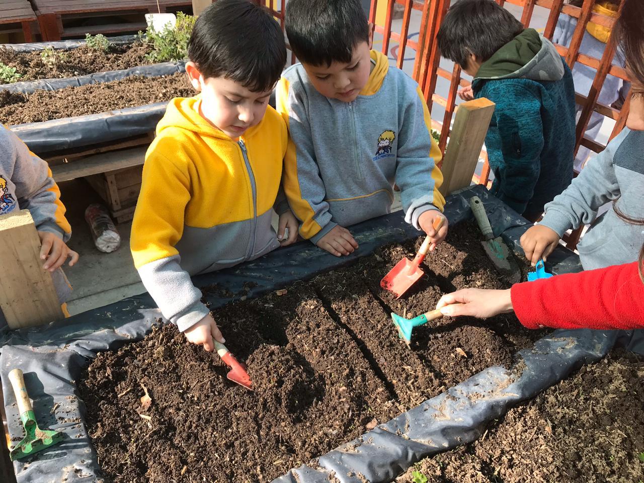 WhatsApp Image 2020-03-18 at 21.52.24 (1)